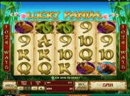 Lucky Panda